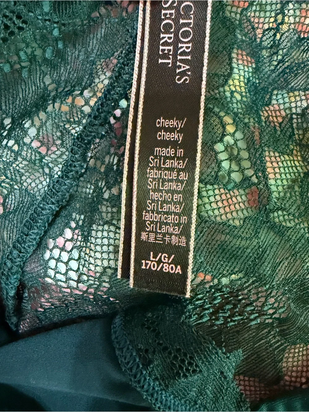 Victoria's Secret Micro Lace Shine Strap Cheekini Panty L NWOT